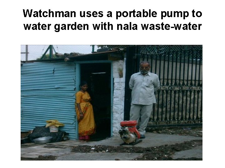 Watchman uses a portable pump to water garden with nala waste-water 