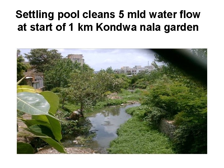Settling pool cleans 5 mld water flow at start of 1 km Kondwa nala