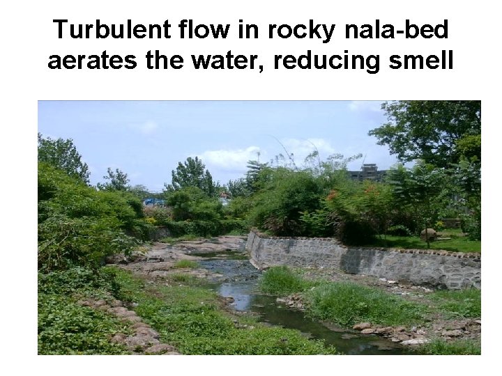 Turbulent flow in rocky nala-bed aerates the water, reducing smell 