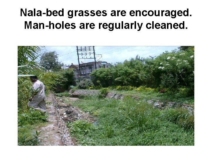 Nala-bed grasses are encouraged. Man-holes are regularly cleaned. 