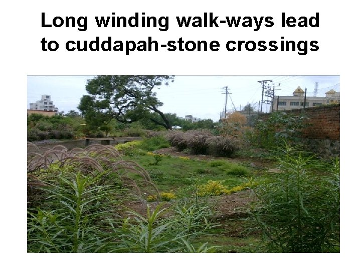 Long winding walk-ways lead to cuddapah-stone crossings 