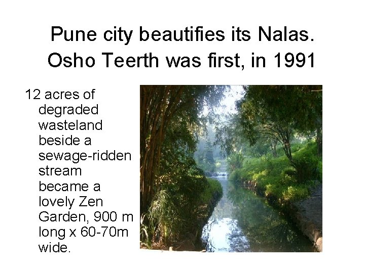 Pune city beautifies its Nalas. Osho Teerth was first, in 1991 12 acres of
