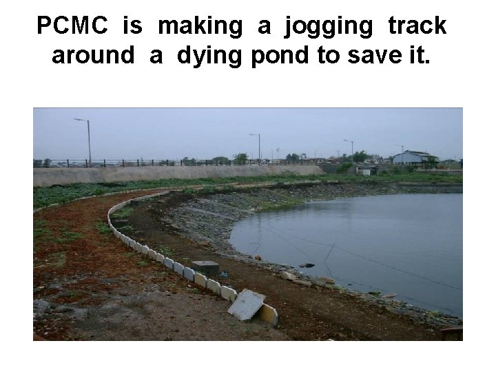 PCMC is making a jogging track around a dying pond to save it. 