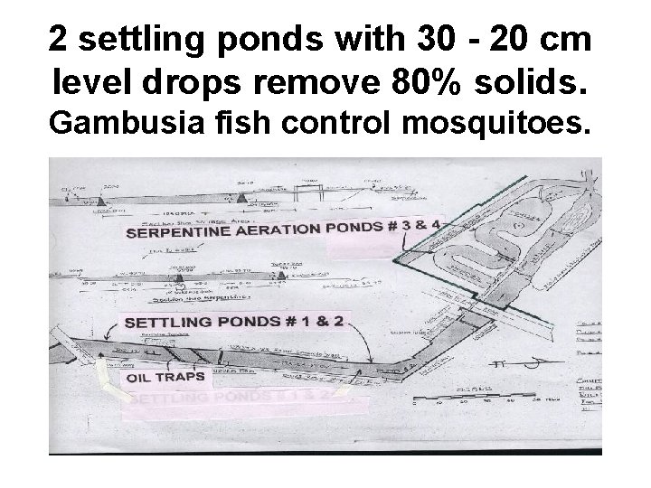 2 settling ponds with 30 - 20 cm level drops remove 80% solids. Gambusia