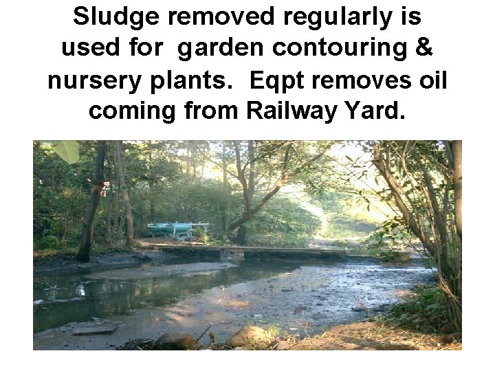 Sludge removed regularly is used for garden contouring & nursery plants. Eqpt removes oil
