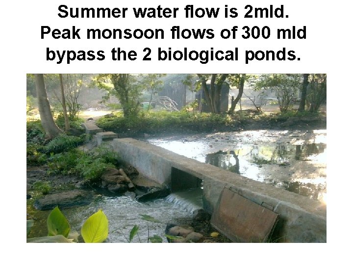 Summer water flow is 2 mld. Peak monsoon flows of 300 mld bypass the