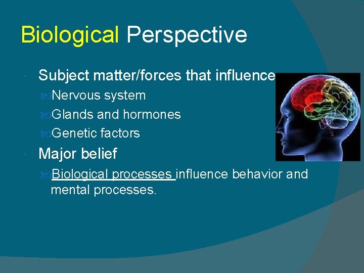 Biological Perspective Subject matter/forces that influence Nervous system Glands and hormones Genetic factors Major