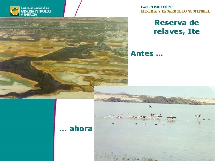 Foro COMEXPERU MINERIA Y DESARROLLO SOSTENIBLE Reserva de relaves, Ite Antes … … ahora