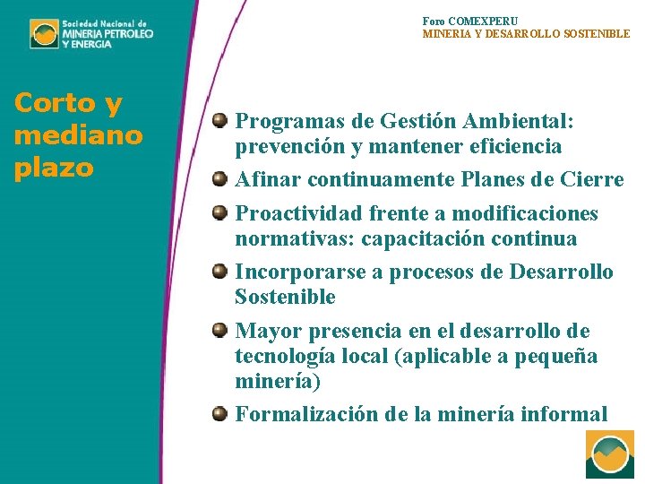 Foro COMEXPERU MINERIA Y DESARROLLO SOSTENIBLE Corto y mediano plazo Programas de Gestión Ambiental: