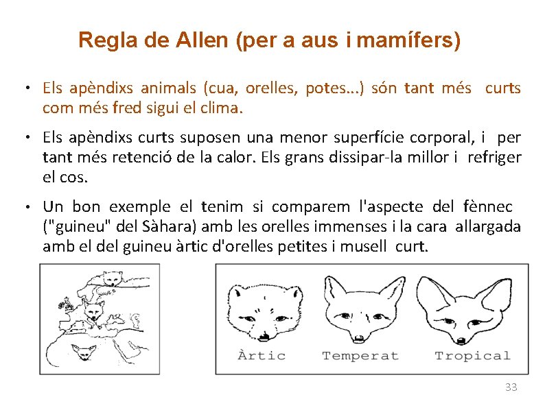 Regla de Allen (per a aus i mamífers) ● ● ● Els apèndixs animals