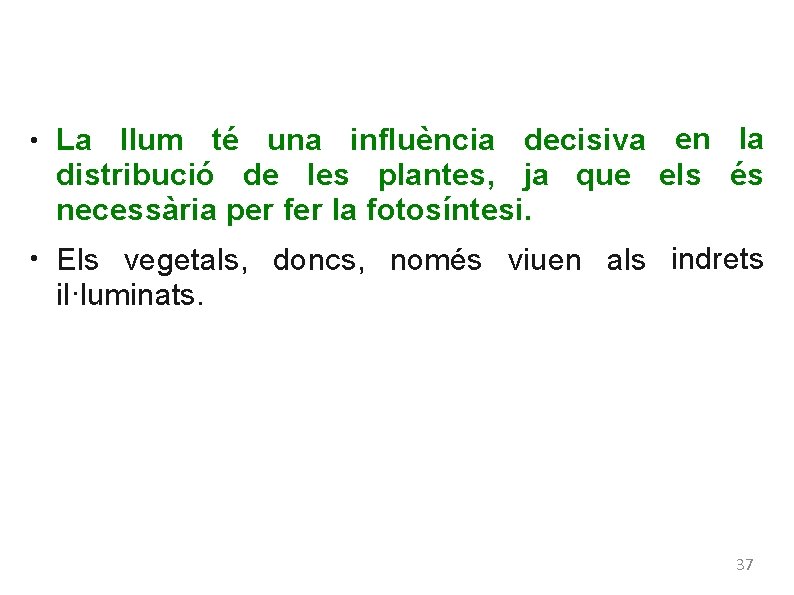 ● ● La llum té una influència decisiva en la distribució de les plantes,