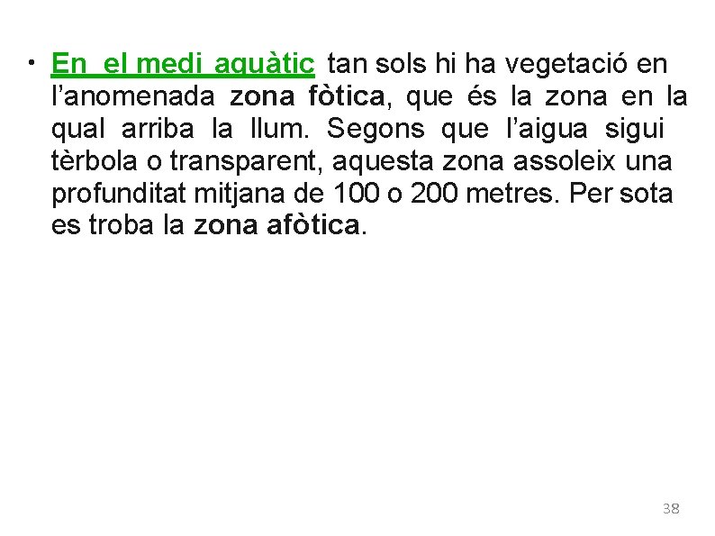 ● En el medi aquàtic tan sols hi ha vegetació en l’anomenada zona fòtica,