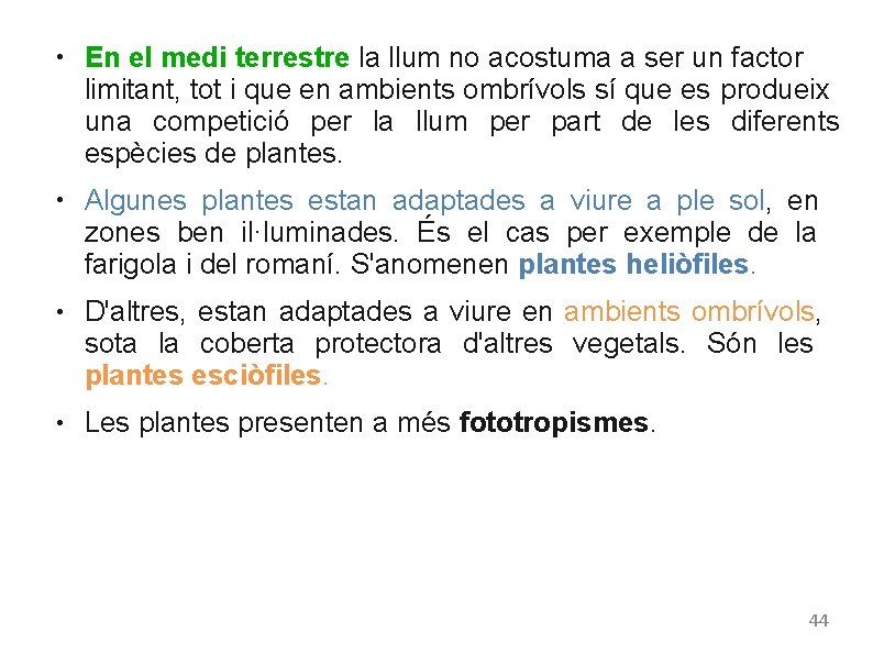 ● ● En el medi terrestre la llum no acostuma a ser un factor