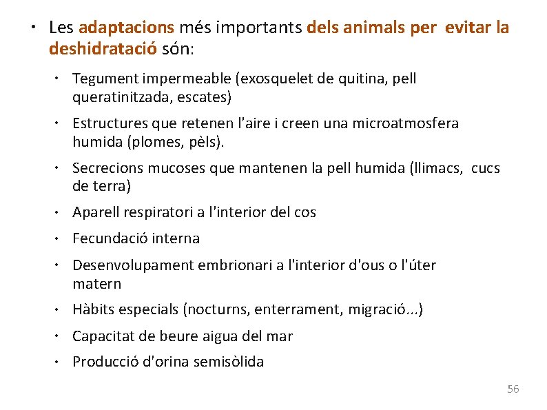 ● Les adaptacions més importants dels animals per evitar la deshidratació són: ● ●