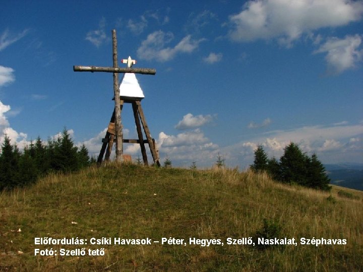 Előfordulás: Csíki Havasok – Péter, Hegyes, Szellő, Naskalat, Széphavas Fotó: Szellő tető 