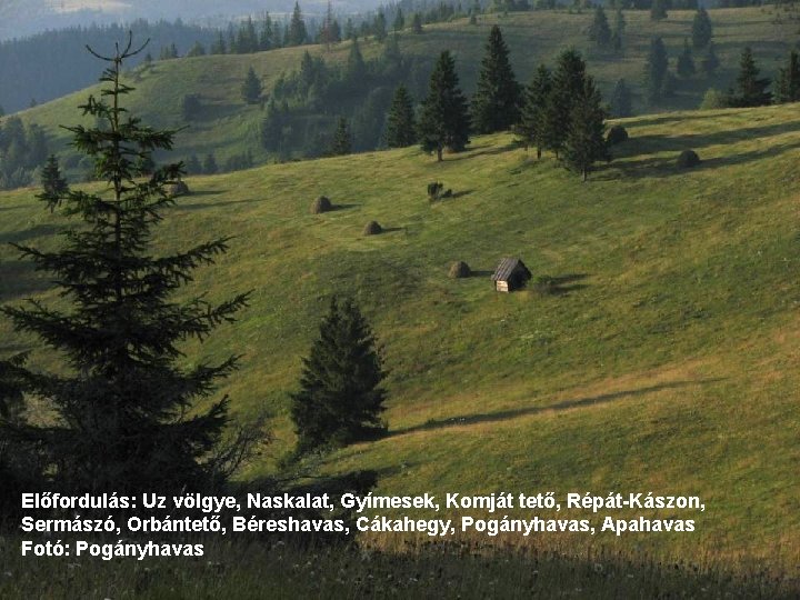 Előfordulás: Uz völgye, Naskalat, Gyímesek, Komját tető, Répát-Kászon, Sermászó, Orbántető, Béreshavas, Cákahegy, Pogányhavas, Apahavas