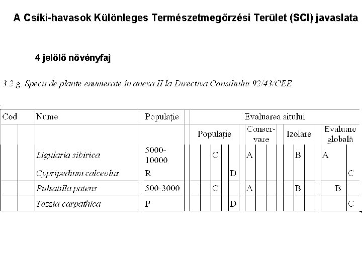 A Csíki-havasok Különleges Természetmegőrzési Terület (SCI) javaslata 4 jelölő növényfaj 