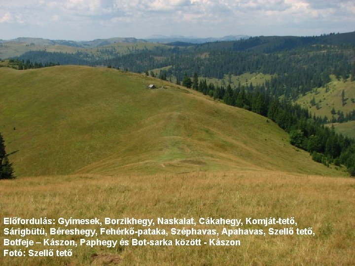 Előfordulás: Gyímesek, Borzikhegy, Naskalat, Cákahegy, Komját-tető, Sárigbütü, Béreshegy, Fehérkő-pataka, Széphavas, Apahavas, Szellő tető, Botfeje