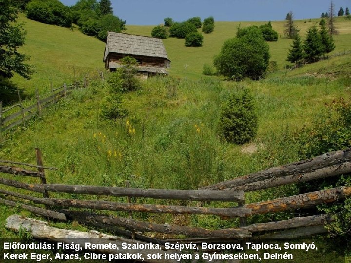 Előfordulás: Fiság, Remete, Szalonka, Szépvíz, Borzsova, Taploca, Somlyó, Kerek Eger, Aracs, Cibre patakok, sok