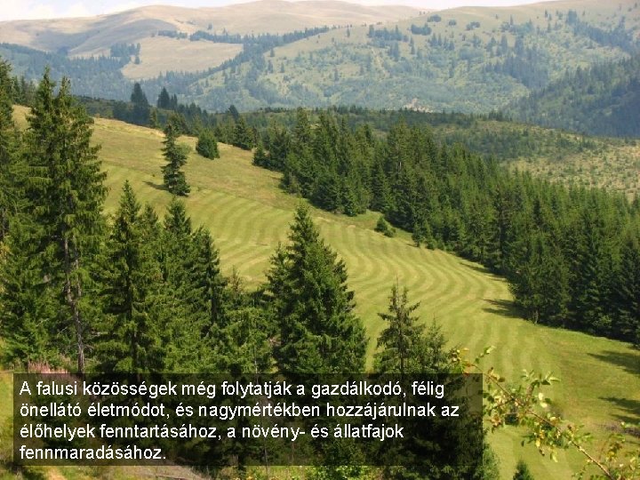 A falusi közösségek még folytatják a gazdálkodó, félig önellátó életmódot, és nagymértékben hozzájárulnak az