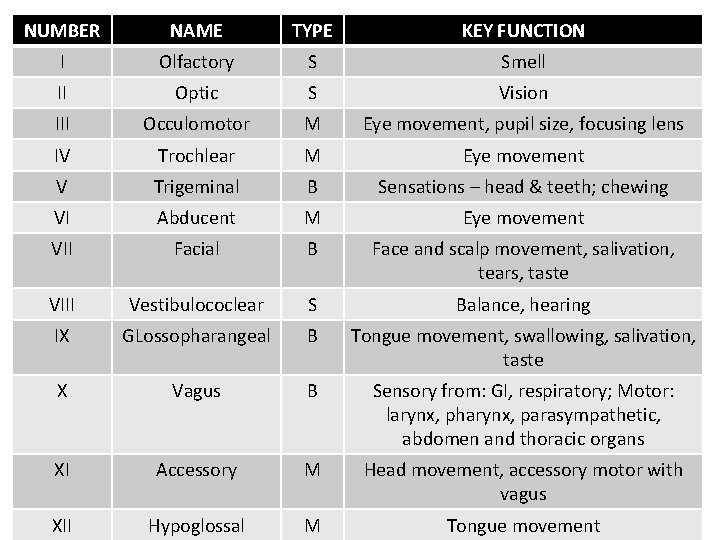 NUMBER NAME TYPE KEY FUNCTION I Olfactory S Smell II Optic S Vision III