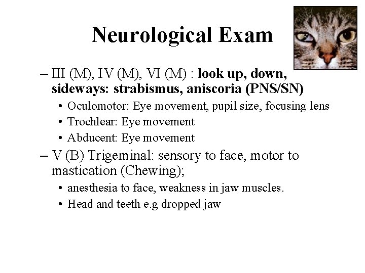 Neurological Exam – III (M), IV (M), VI (M) : look up, down, sideways: