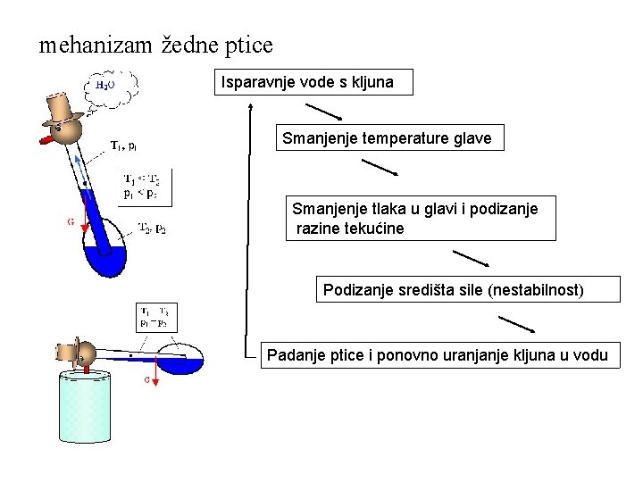 mehanizam žedne ptice Isparavnje vode s kljuna Smanjenje temperature glave Smanjenje tlaka u glavi