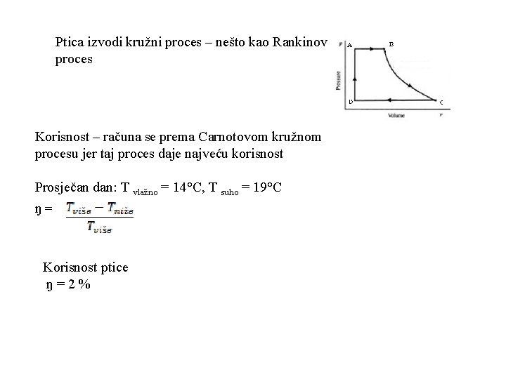 Ptica izvodi kružni proces – nešto kao Rankinov proces Korisnost – računa se prema