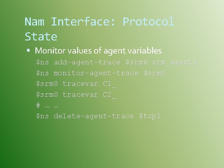 Nam Interface: Protocol State Monitor values of agent variables $ns add-agent-trace $srm 0 srm_agent