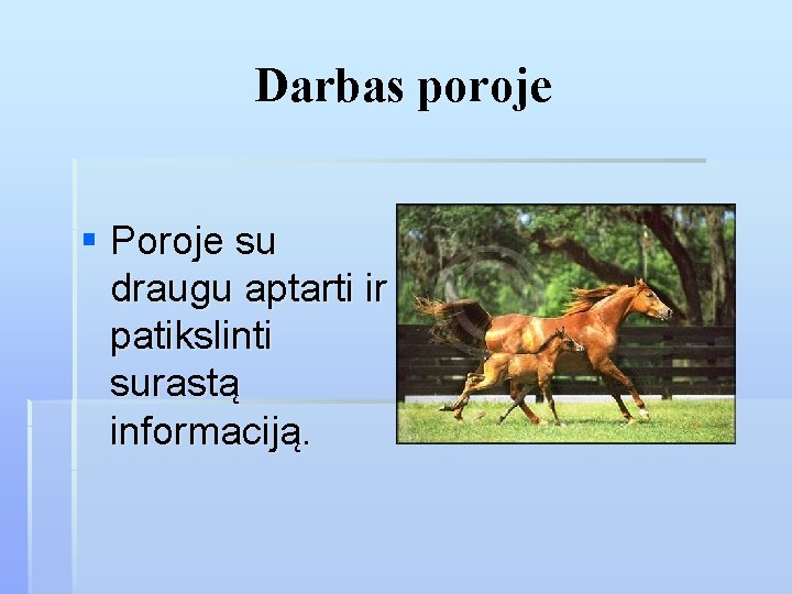 Darbas poroje § Poroje su draugu aptarti ir patikslinti surastą informaciją. 