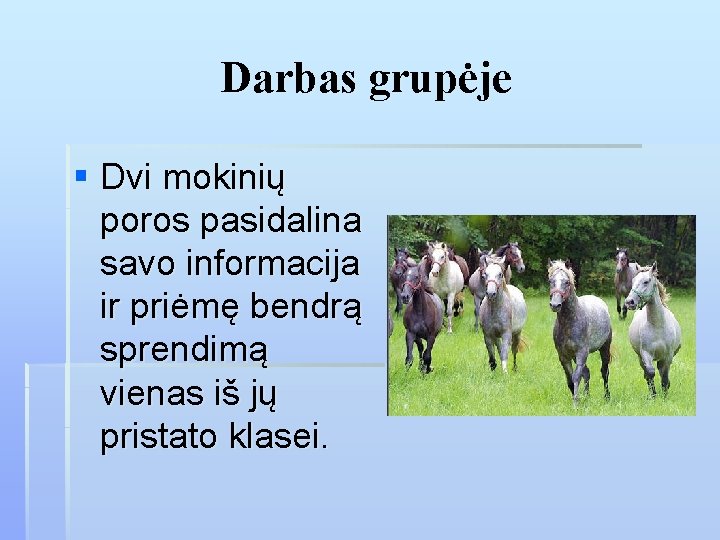 Darbas grupėje § Dvi mokinių poros pasidalina savo informacija ir priėmę bendrą sprendimą vienas