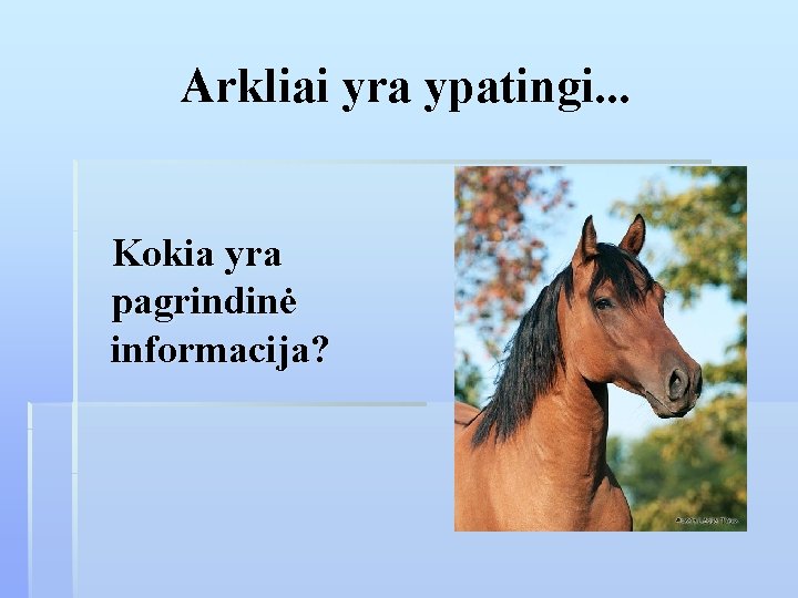 Arkliai yra ypatingi. . . Kokia yra pagrindinė informacija? 