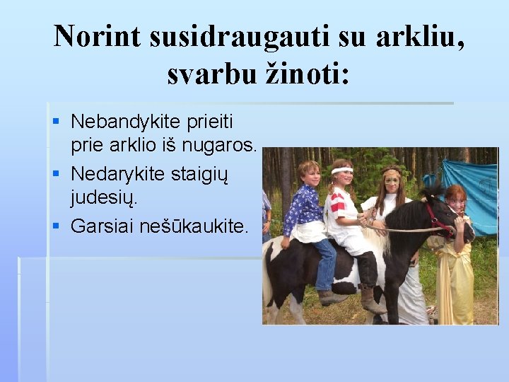 Norint susidraugauti su arkliu, svarbu žinoti: § Nebandykite prieiti prie arklio iš nugaros. §