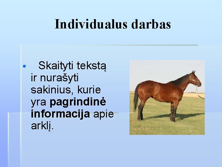 Individualus darbas § Skaityti tekstą ir nurašyti sakinius, kurie yra pagrindinė informacija apie arklį.