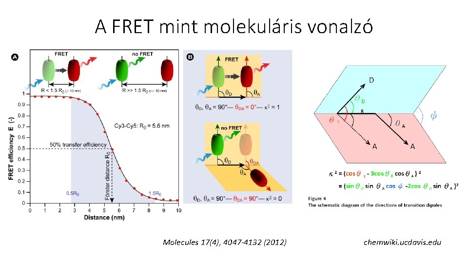 A FRET mint molekuláris vonalzó Molecules 17(4), 4047 -4132 (2012) chemwiki. ucdavis. edu 