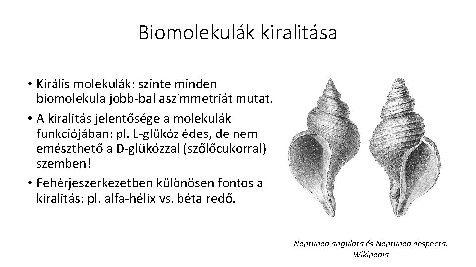 Biomolekulák kiralitása • Királis molekulák: szinte minden biomolekula jobb-bal aszimmetriát mutat. • A kiralitás