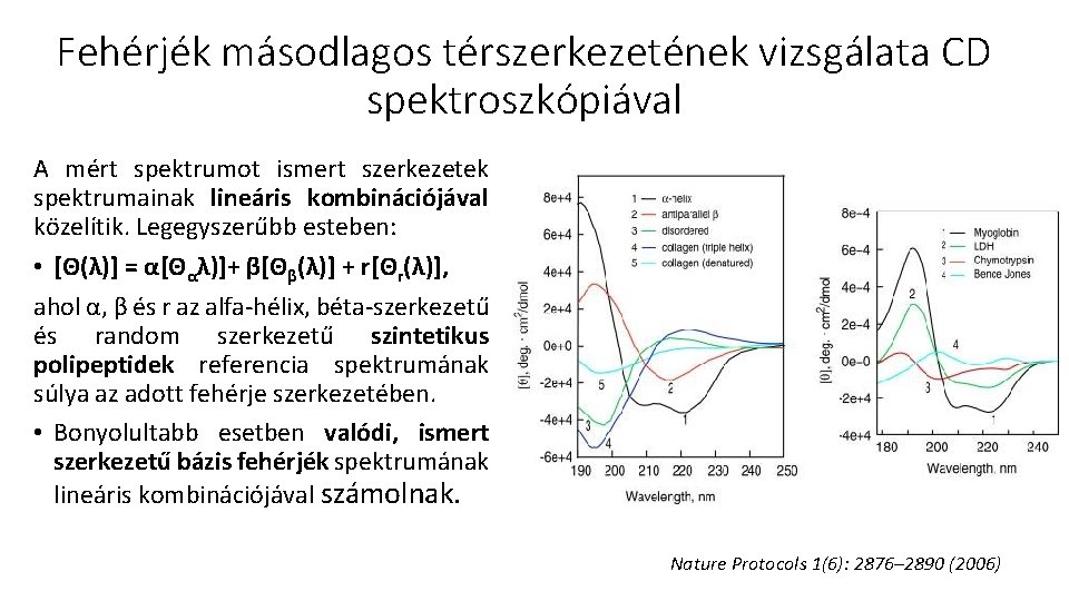 Fehérjék másodlagos térszerkezetének vizsgálata CD spektroszkópiával A mért spektrumot ismert szerkezetek spektrumainak lineáris kombinációjával