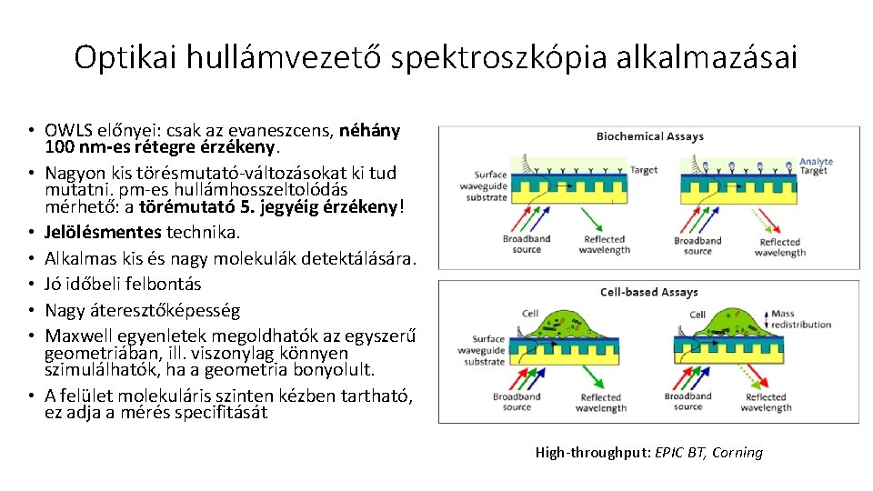 Optikai hullámvezető spektroszkópia alkalmazásai • OWLS előnyei: csak az evaneszcens, néhány 100 nm-es rétegre