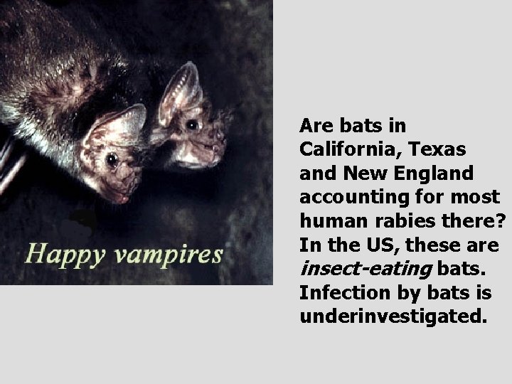 Rabies Paul R Earl Facultad de Ciencias Biolgicas