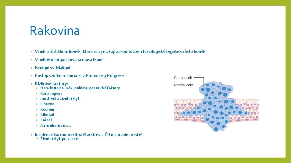 Rakovina • Vznik a růst klonu buněk, které se vymykají zakonitostem fyziologické regulace růstu