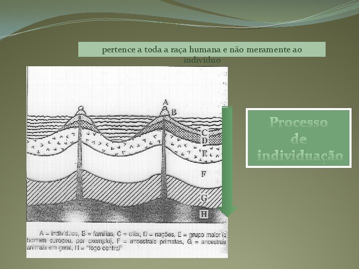 pertence a toda a raça humana e não meramente ao indivíduo Processo de individuação