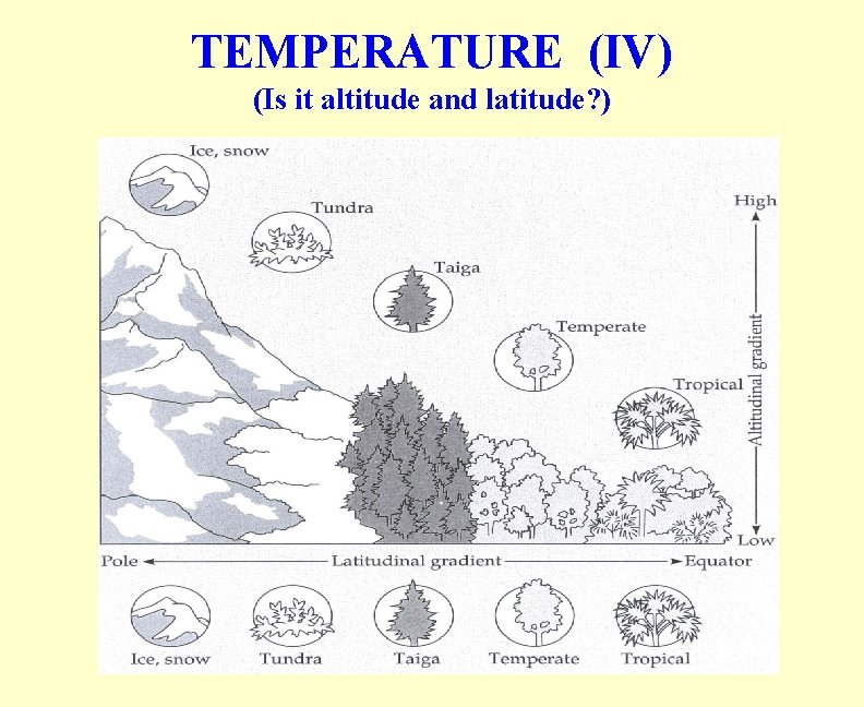 TEMPERATURE (IV) (Is it altitude and latitude? ) TEMPERATURE (IV) (Is it altitude and latitude? )