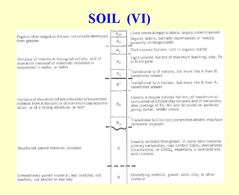 SOIL (VI) 