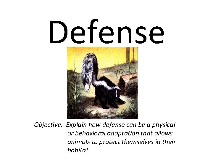 Defense Objective: Explain how defense can be a physical or behavioral adaptation that allows