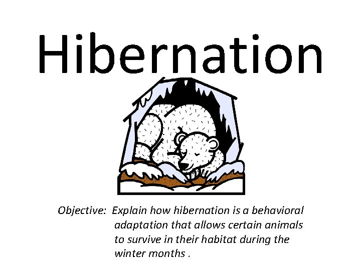 Hibernation Objective: Explain how hibernation is a behavioral adaptation that allows certain animals to