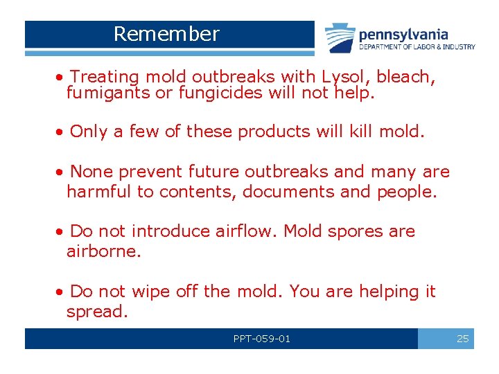 Remember • Treating mold outbreaks with Lysol, bleach, fumigants or fungicides will not help.