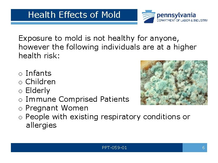 Health Effects of Mold Exposure to mold is not healthy for anyone, however the