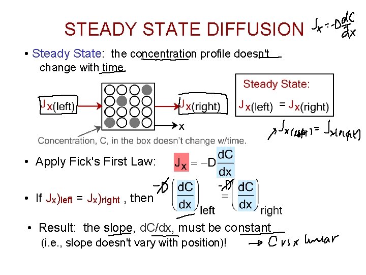STEADY STATE DIFFUSION • Steady State: the concentration profile doesn't change with time. •