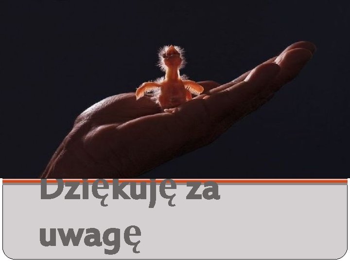 Dziękuję za uwagę 
