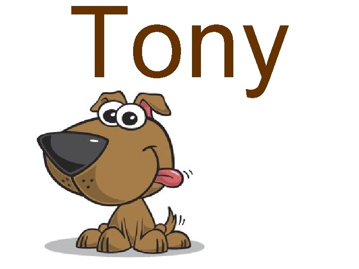 Tony 